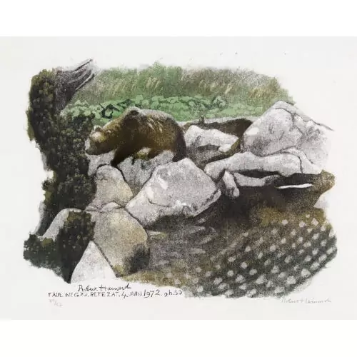 "Ours au bord du lac"
