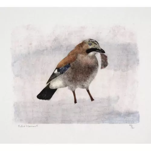 "Geai sur la neige"