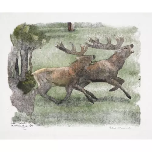 "Cerfs s′accompagnant"
