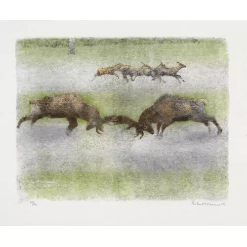 "Combat de cerfs et troupe de biches"