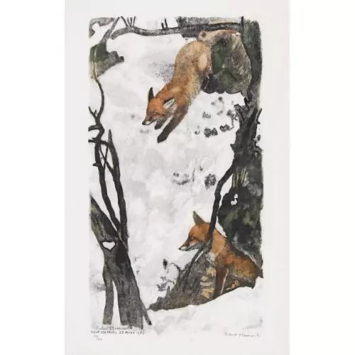 "Deux renards sortant du terrier"