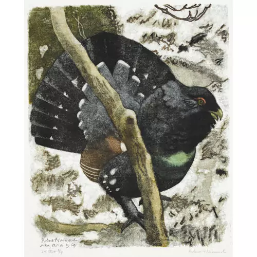 "Grand coq après le chant"