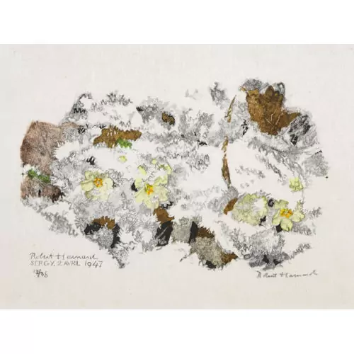 "Primevères sous la neige"