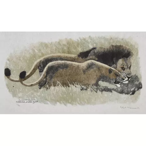 "Couple de lions"