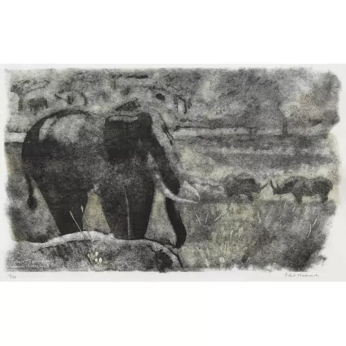 "Éléphant et combat de rhinocéros"