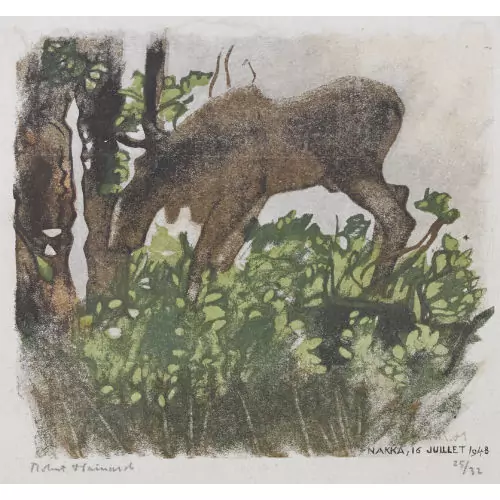 "Élan dans la brume matinale"