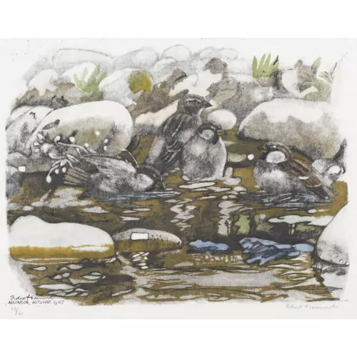"Le bain des moineaux"