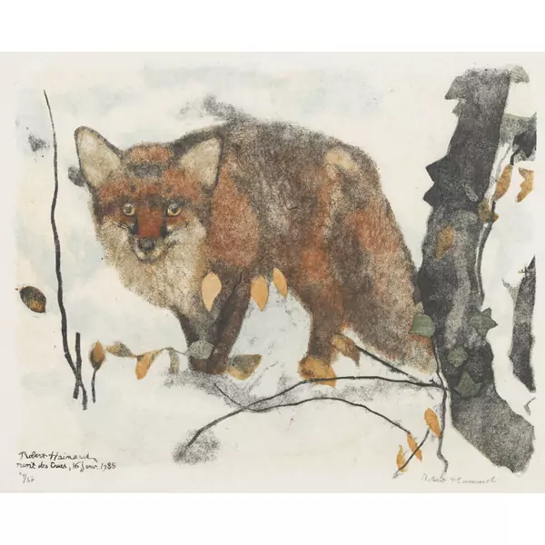 "Le renard perplexe"