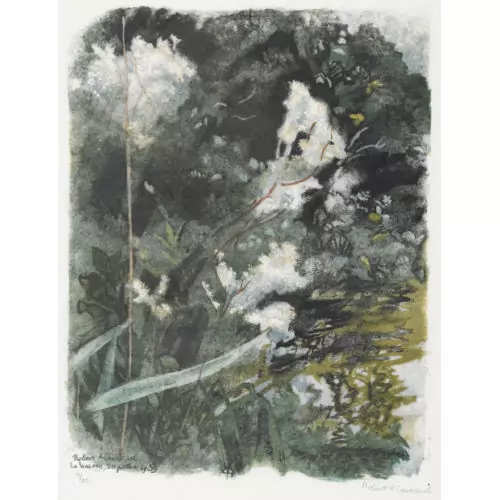 "La reine-des-prés"