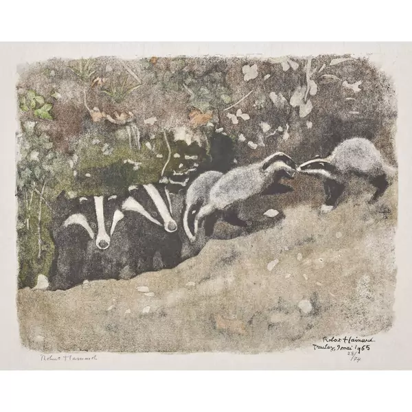 "Famille de blaireaux au terrier"