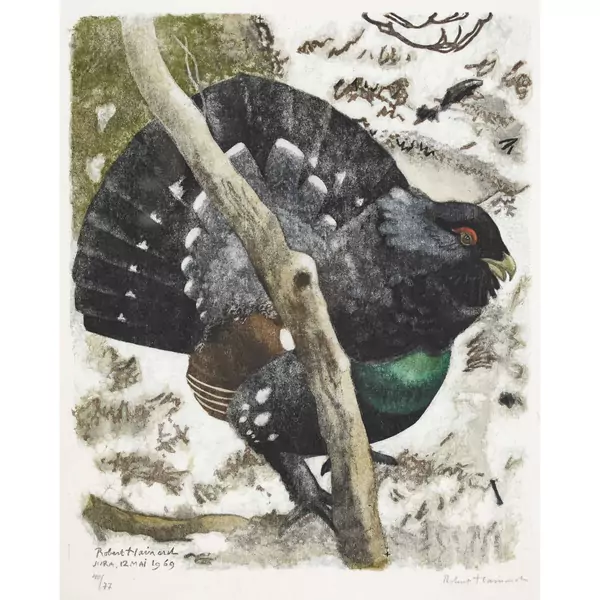"Grand coq après le chant"