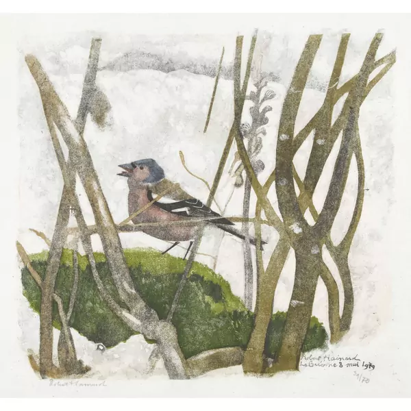 "Pinson et orobanche"