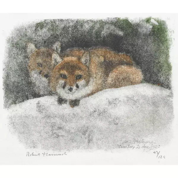"Couple de renards devant le terrier"