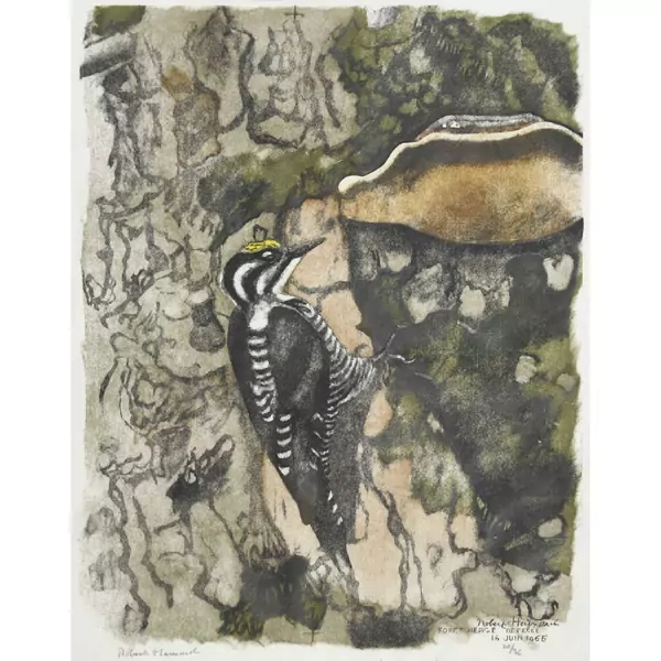 "Pic tridactyle et polypore"