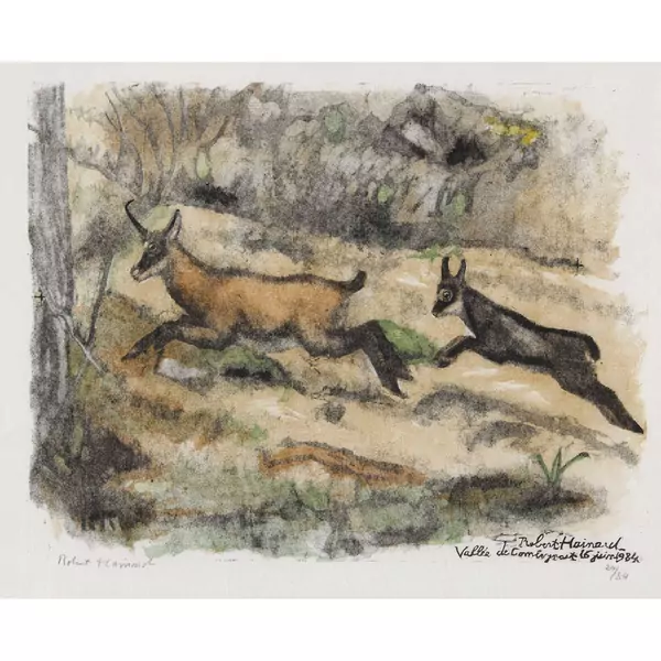 "Chamois, chèvre et cabri"