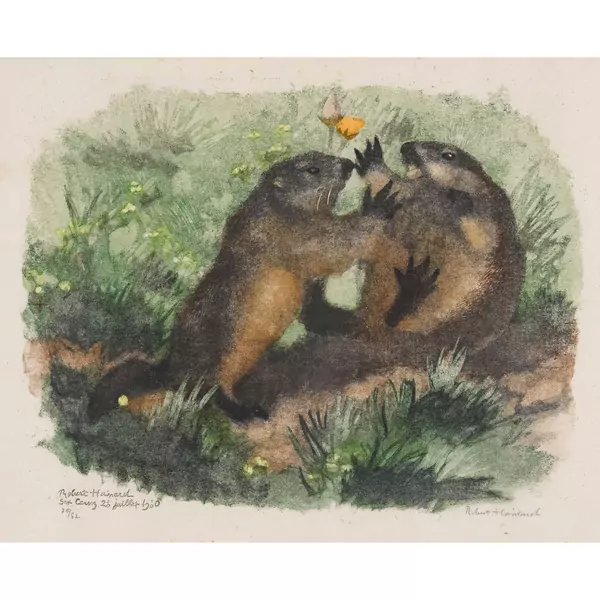 "Jeux de petites marmottes"