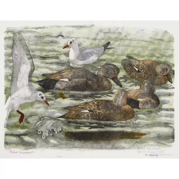 "Chipeaux et mouettes"