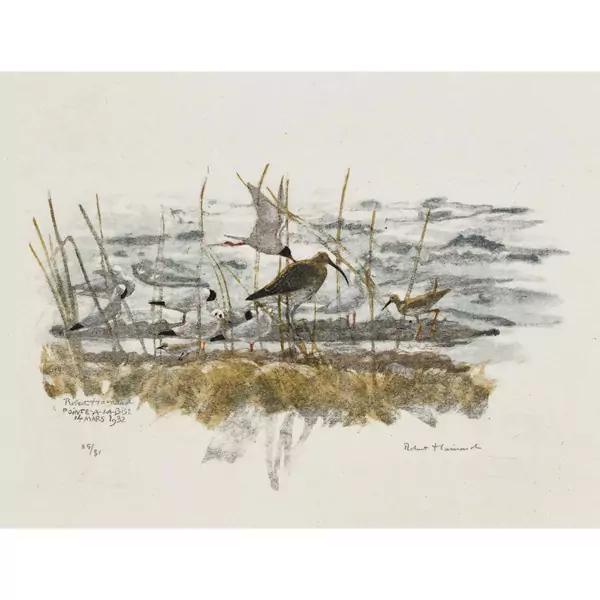 "La Pointe-à-la-Bise en mars"