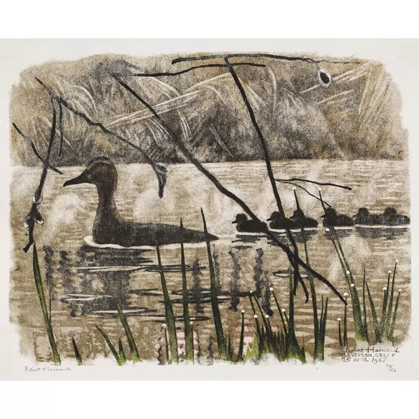 "Cane et canetons à l'aube"