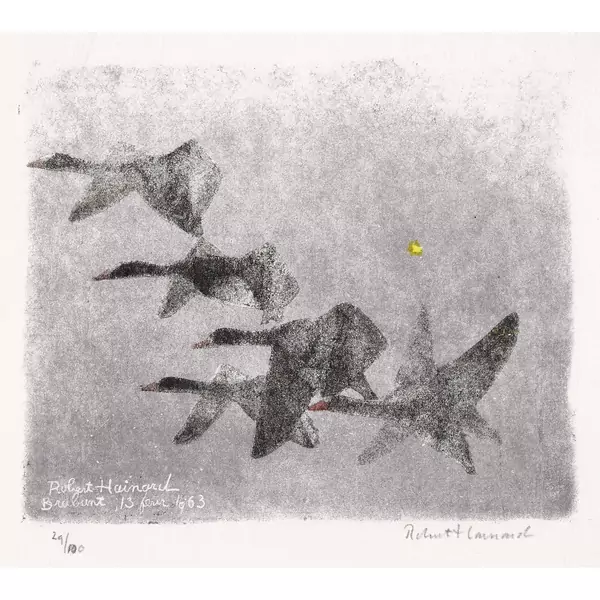 Les canards