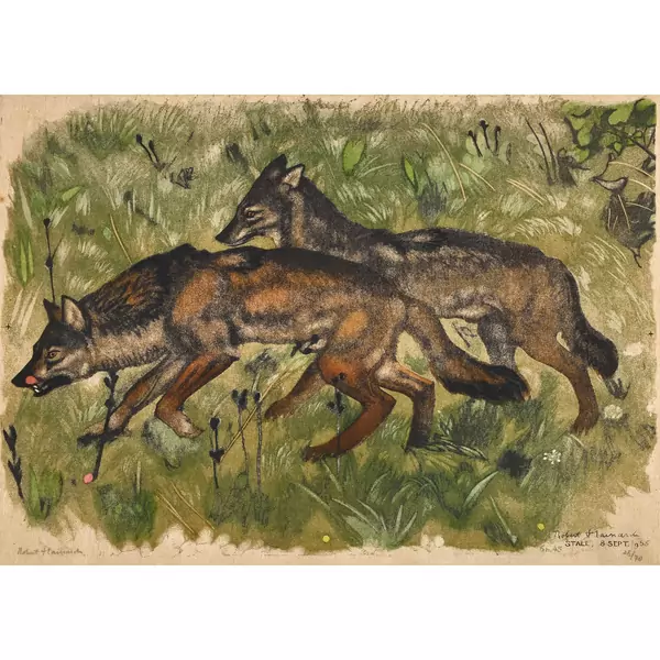 "Couple de loups marchant"