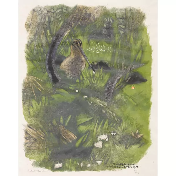 "Bécassine sous les ajoncs"
