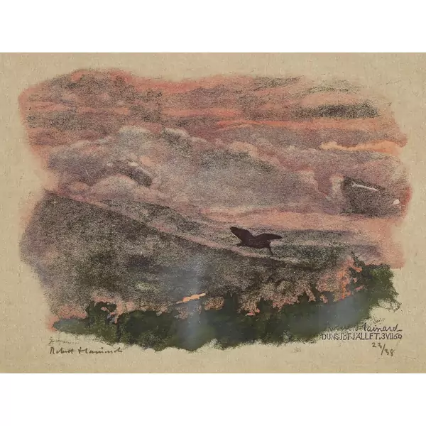 "Brouillards roses et bécasse"