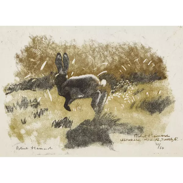 "Lièvre dans le marais"