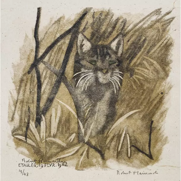"Chat sauvage en arrêt"