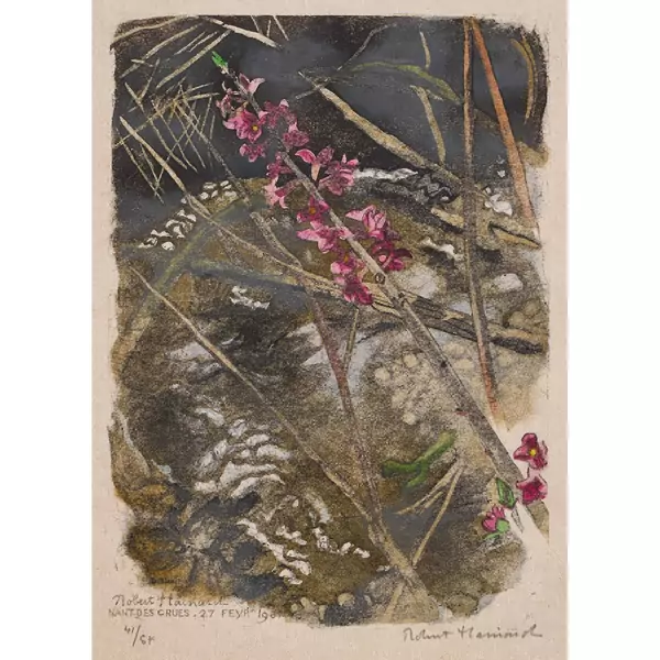 "Bois-gentil et ruisseau"