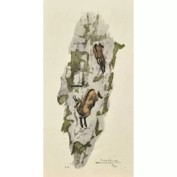 "Chamois, femelle et jeune"