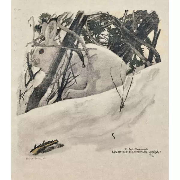 "Lièvre blanc dans le fourré"