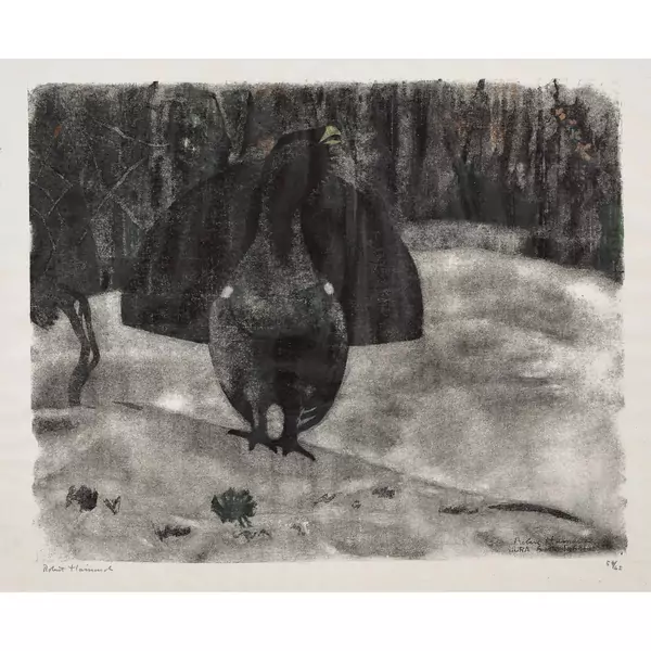 "Grand coq à l'aube, sous la pluie"