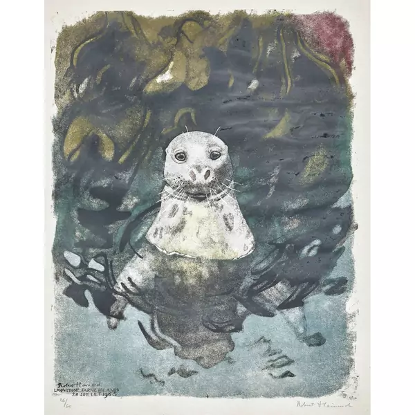 "Jeune phoque gris curieux"