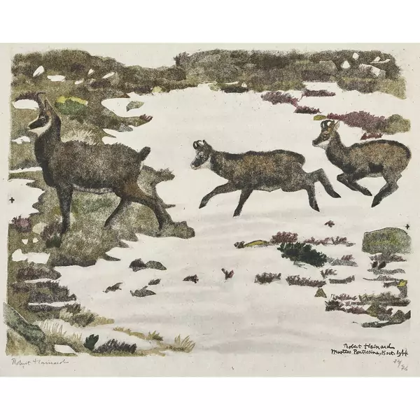 "Chamois, femelle et deux jeunes"