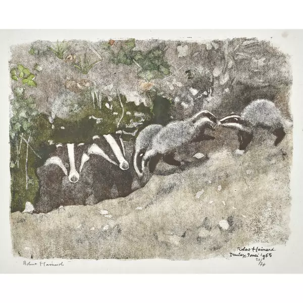 "Famille de blaireaux au terrier"