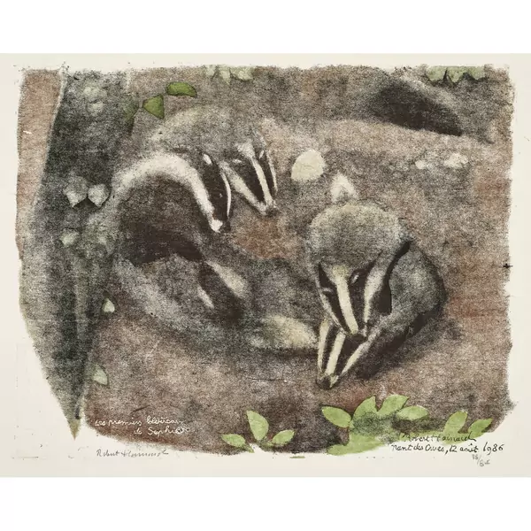 "Les premiers blaireaux de Sophie"