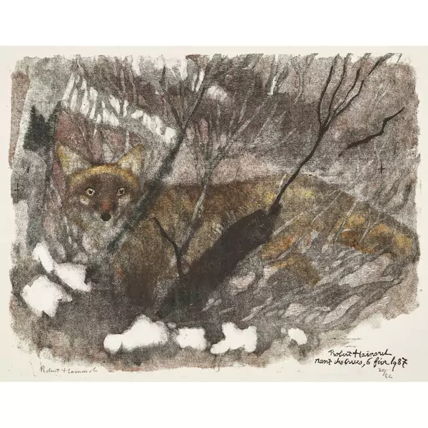 "Apparition de renard"