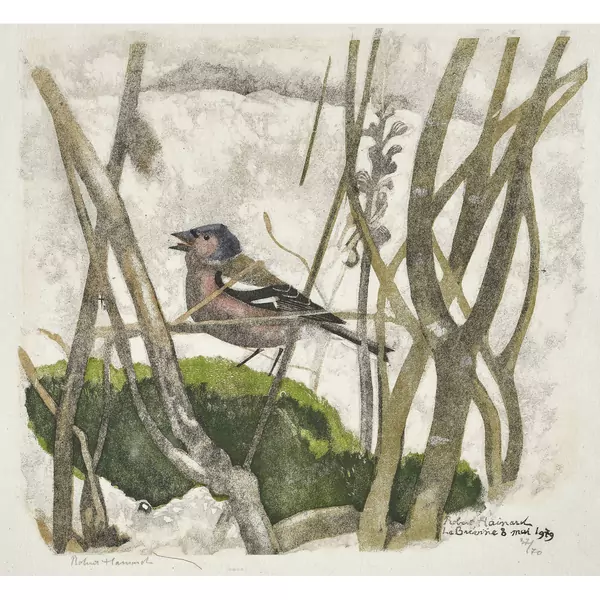 "Pinson et orobanche"