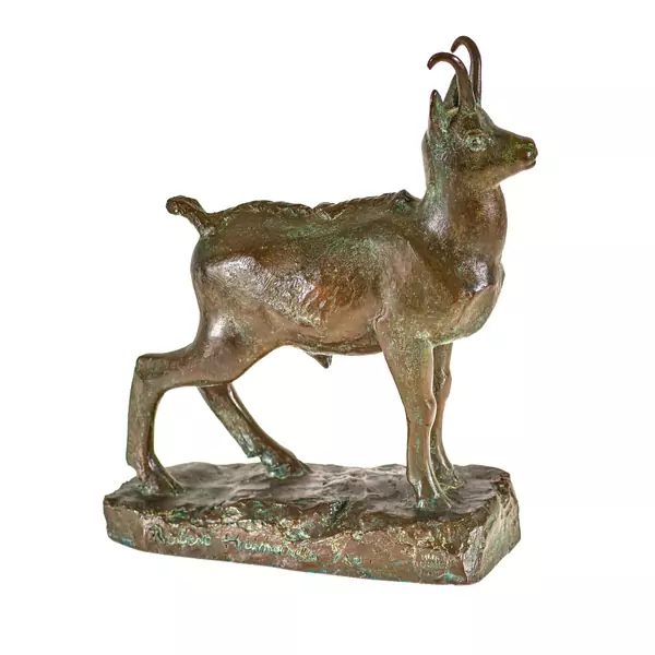 Chamois