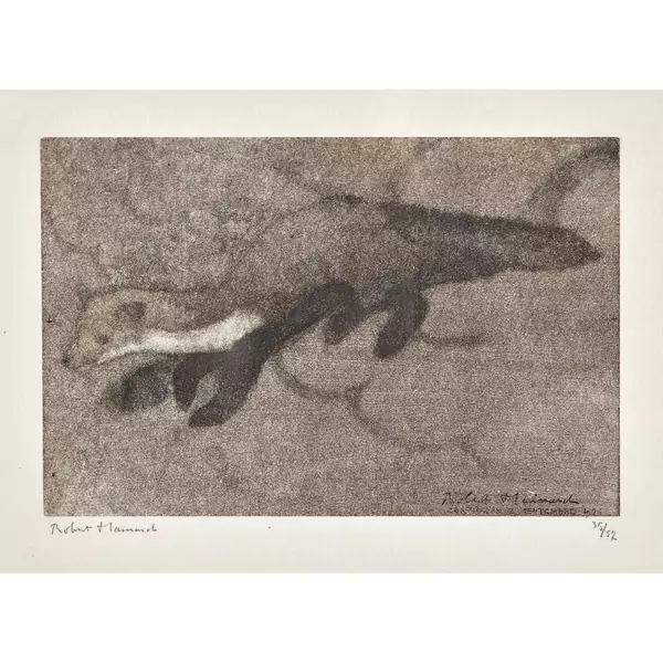 "Fouine au clair de lune sur le toit de la sacristie"