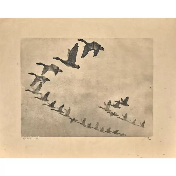 "Vol d'oies des moissons"