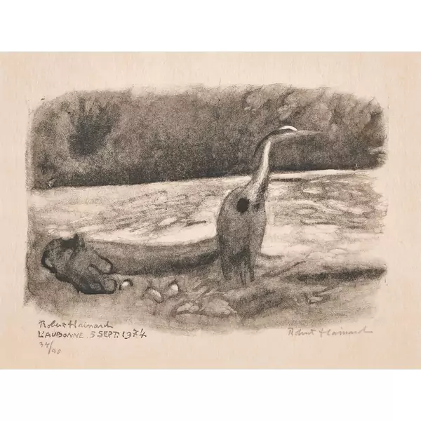 "Héron cendré au clair de lune, l'Aubonne"