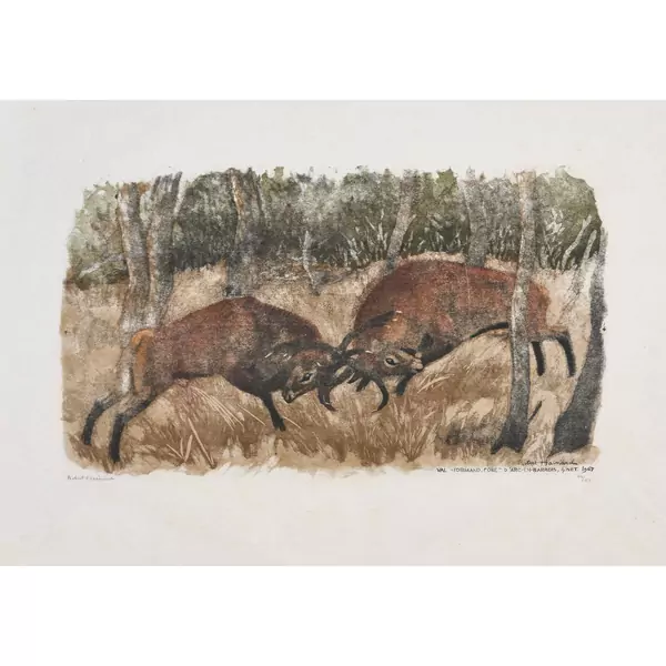 "Combat de cerfs"