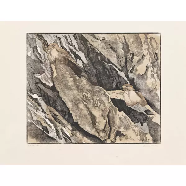 "Hirondelles de rochers"