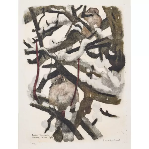 "Deux tourterelles turques sous la neige"