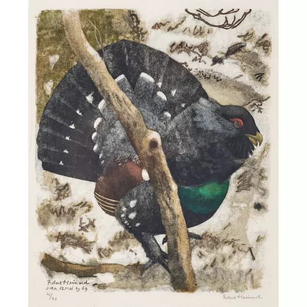 "Grand coq après le chant"