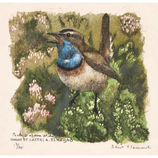 "Gorge-bleue à miroir blanc"