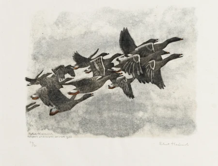 Oiseaux