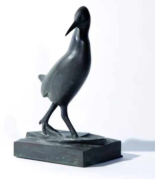 Robert Hainard — Râle d’eau dressé